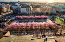 Guided bicycle tour across Stockholm