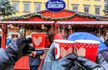 Stockholm Christmas market and lights walking tour with local guide