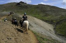 1-hour horseback ride in Southern Tenerife