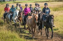 1-hour horseback ride in Southern Tenerife