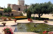 Guided walking tour of Jerez with Alcazar visit