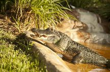 Private Everglades airboat adventure