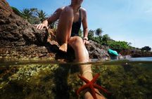 Boat trip to the Esterel Calanques from Cannes