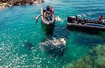 Boat & snorkeling trip to the Esterel Calanques from Cannes