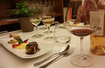 Guided wine tasting and food pairing dinner near the Pantheon