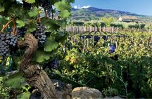 Etna Wine Train guided tour with wine and food tastings