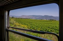 Etna Wine Train guided tour with wine and food tastings