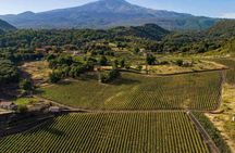 Full-day Etna Wine Bus tour with wine and food tasting