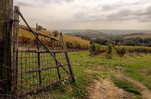Umbrian wine tasting at Tenuta di Corbara