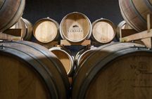 Umbrian wine tasting at Tenuta di Corbara