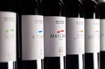 Guided wine tasting tour in San Valentino vineyards