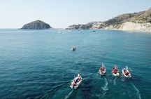 Guided tour of the Aragonese Castle
