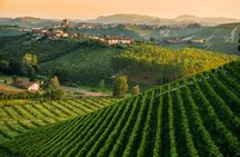 A journey through Piedmont's tradition and wines