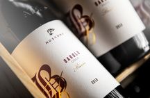 Langhe's wine tour with Nebbiolo, Barbaresco, and Barolo tasting