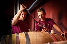 Langhe's wine tour with Nebbiolo, Barbaresco, and Barolo tasting