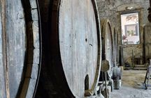 Full-day Etna Wine Bus tour with wine and food tasting
