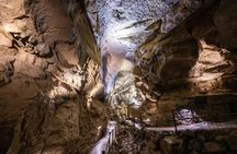 Cliffs of Moher, Aillwee Cave and boat cruise day trip from Dublin