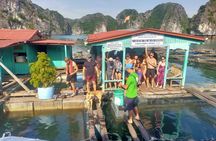Lan Ha Bay and Ha Long bay cruise with kayaking and snorkelling