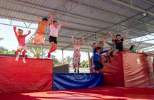 Angry Birds Activity Park entrance ticket