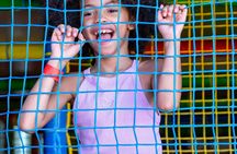 Angry Birds Activity Park entrance ticket