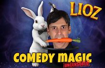 LIOZ Master Of Delusion Entrance Tickets