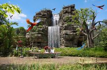 Entrance tickets to Bird Paradise