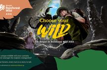 Rainforest Wild Asia