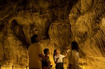 Rainforest Wild Asia