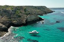 Superman Boat Tour In Mallorca