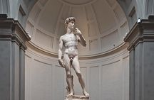 Audioguided tour at the Accademia Gallery with live expert commentary