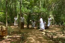 Uxmal, Cenote Peba, and Chocolate Museum tour