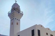 Madinah guided tour without lunch