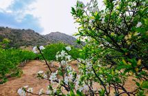 Ziarah half-day guided tour from Makkah