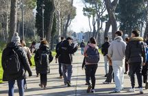 Group tour from Naples to Sorrento and Pompeii with lunch