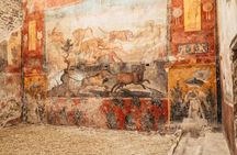 Full-day shared tour of Capri Island and Pompeii ruins from Naples