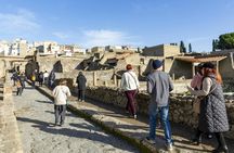Herculaneum shared tour from Naples