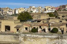 Herculaneum shared tour from Naples
