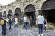 Herculaneum shared tour from Naples