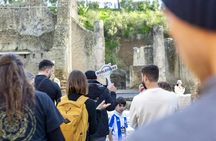 Herculaneum shared tour from Naples