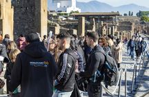 Pompeii and Mt. Vesuvius shared tour with optional lunch and tasting