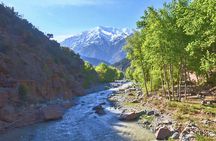 Private tour to Ourika Valley with hike to Atlas Mountains