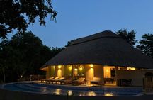 Nyerere National Park 2-day Safari with flight from Zanzibar