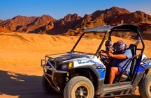 Stargazing with a sand buggy, camel ride, dinner and show in Sharm El Sheikh