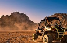 Stargazing with a sand buggy, camel ride, dinner and show in Sharm El Sheikh