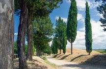 San Gimignano, Siena and Chianti Day Trip