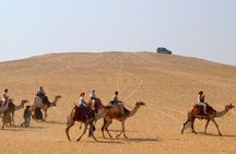 Desert safari by quad bike and 4x4 with Bedouin village dinner