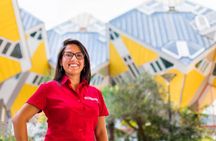 Grand Holland tour of Rotterdam, Delft and The Hague