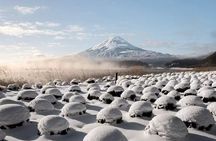 Day Trip to Mount Fuji with Scenic Photo Opportunities from Tokyo