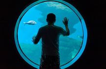 Mallorca sightseen pass with key attractions and eSIM