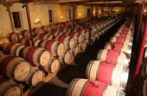 Bordeaux wine tour with chateau visit and tasting